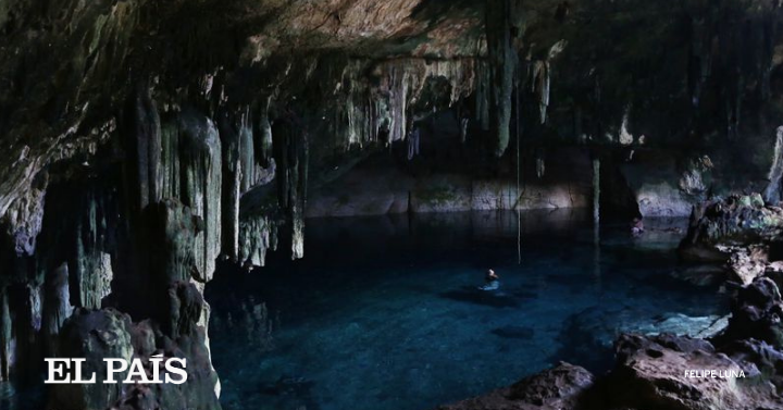 elpaismexico's tweet photo. 📌 Seis niños han detenido en los tribunales las actividades de una granja porcícola en el área protegida del Anillo de los Cenotes de Yucatán, con el argumento de su derecho a conservar su agua y aire limpios

🖋️@karlacasillas20
📷 @felipeluna_e

🔗 https://t.co/9UZKTRFtYz https://t.co/Wkx10zLae3