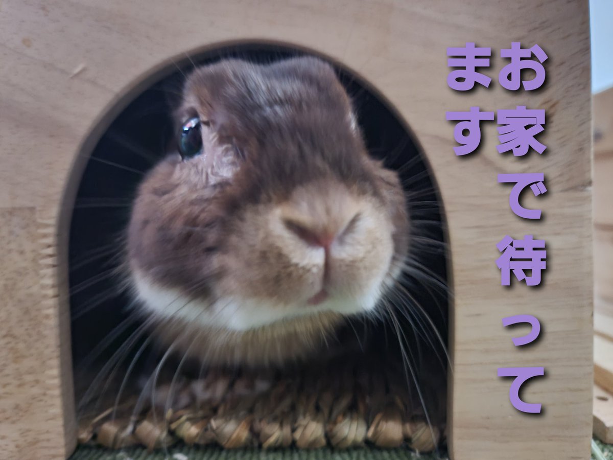 R66Y_tk's tweet photo. @fugelmusik https://t.co/FQUvUwkaY6