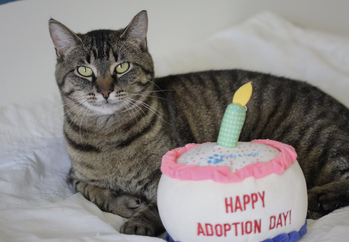 Congratulations to Ruth and her forever family! 💕