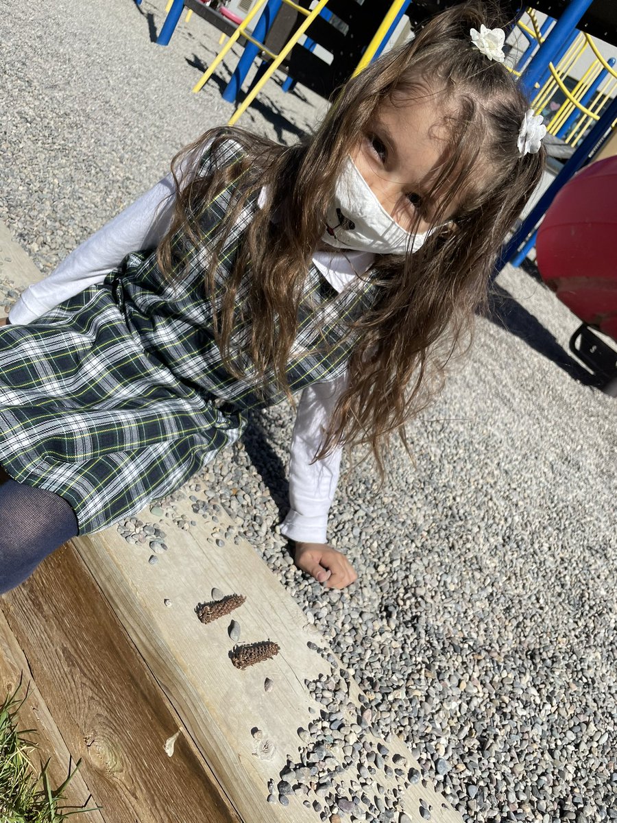 chanmsarah's tweet image. It was another beautiful day, so we went outside to find patterns in nature and to created some on our own! @c_dang6 #kindergarten #jumpmath #math #WeAreCBE