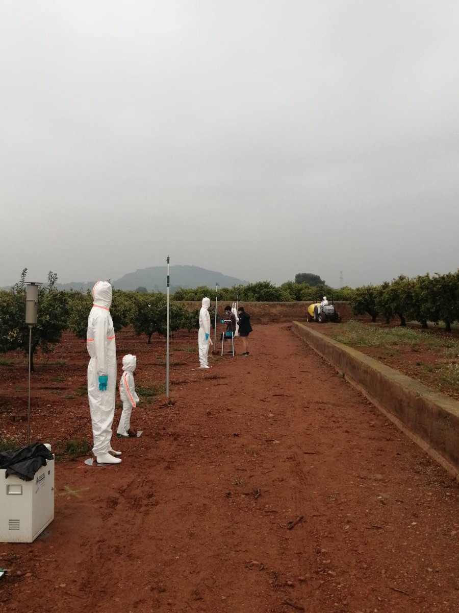 PerfectLife_EU's tweet photo. Today, running the first #experiment of this year's field campaign with #citrus.
Evaluating the reduction of #pesticide exposure of #operators and #bystanders using low-drift app techs and tools.
Follow us to see more updates!
👉https://t.co/t7zviWymBu https://t.co/TPgc6hKht4