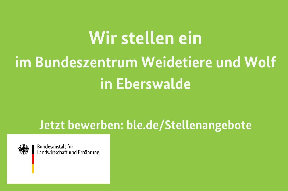 BZL_aktuell's tweet photo. Wir suchen Verstärkung🧐.
Im Auftrag des @bmel richtet die #BLE das Bundeszentrum Weidetiere und Wolf (#BZWW) am Standort #Eberswalde ein. Dafür suchen wir Verstärkung für unser Team zum nächstmöglichen Zeitpunkt.
➡️https://t.co/U7H10vPQSH
➡️https://t.co/6bGWCrBkYF https://t.co/rrNeuMrNvz