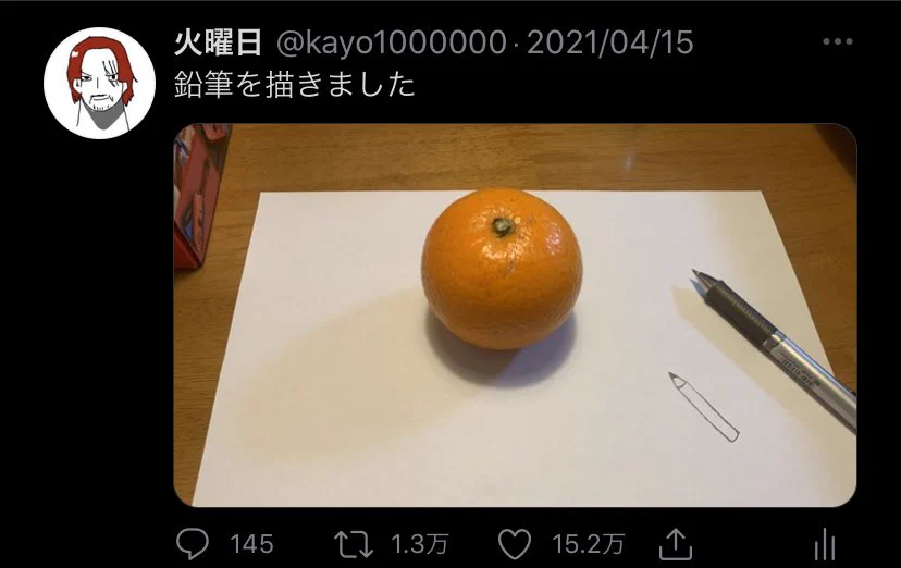 ちゃんと騙される。まるで本物のような「初めてこんなに褒められた絵」