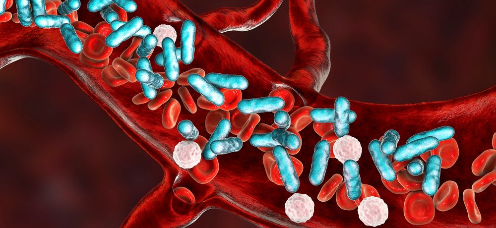 medtechonline's tweet photo. Carb-X awards up to $3m to GenomeKey for rapid sepsis diagnostic
https://t.co/8cqxrAlr3t
@CARB_X #genomekey #medtech #diagnostics #sepsis https://t.co/ccj6Nhs9Hm