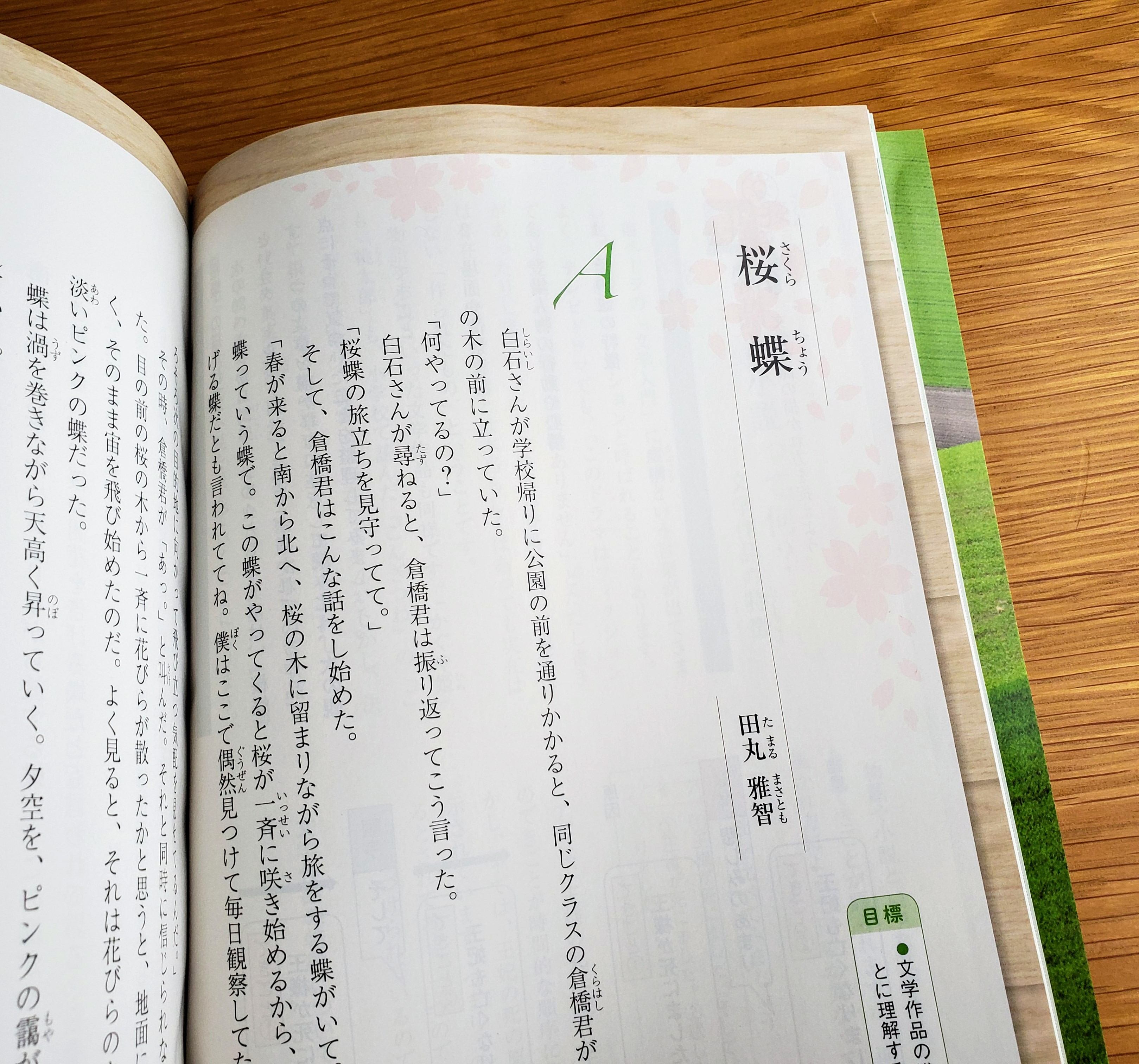 田丸雅智 この４月から使われている中学１年生の国語教科書 教育出版 の 最初に出てくる小説作品として 書き下ろし２作が掲載されています いずれも同じ設定の 桜蝶 というお話で 描き方による違いを味わおうという趣旨です 楽しんでいただけますよう