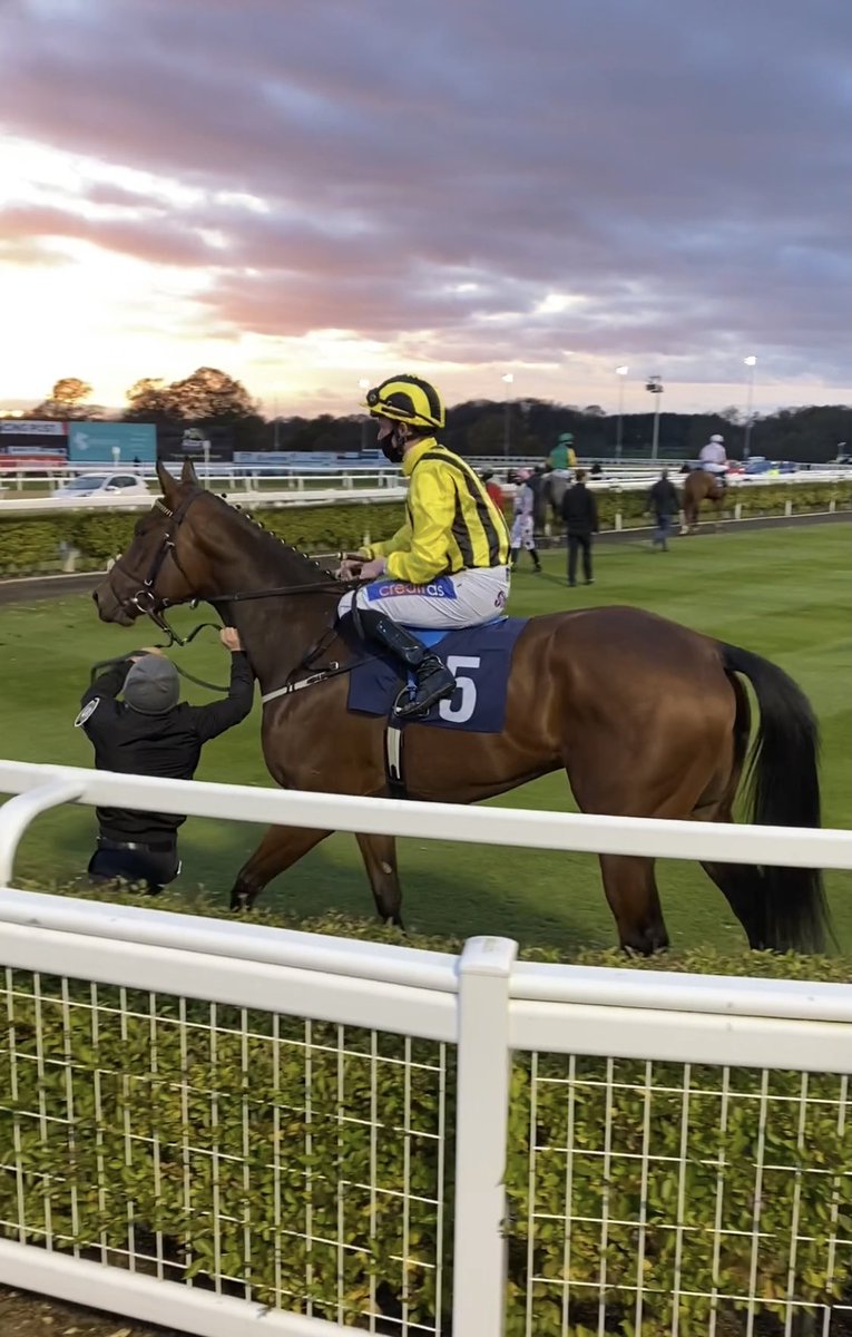 Hold Your Horses Racing tweet media