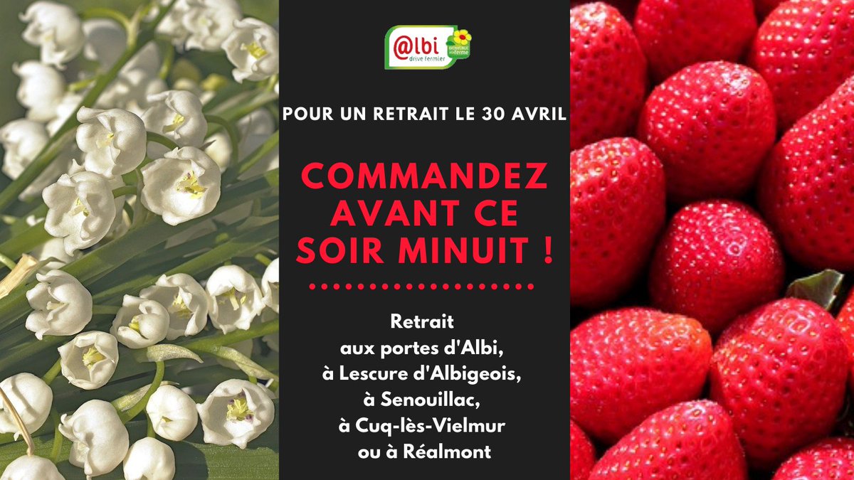 DriveFermier_81's tweet image. Le printemps n'est peut-être pas dans le ciel, cette semaine, mais dans l'assiette : #fraises et #asperges de Briatexte, #artichauds, #carottes primeur bio.... à commander avant minuit sur drivefermier-albi.fr pour se régaler en ce weekend du premier mai !