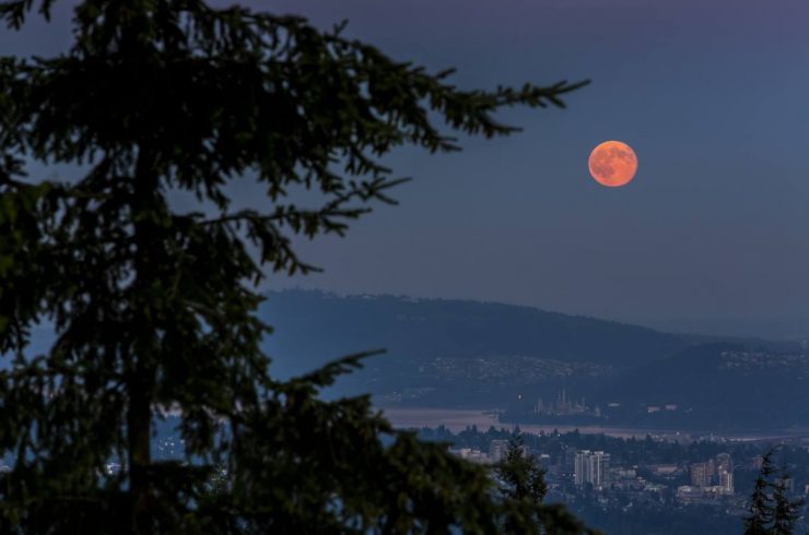 Thedi_DE's tweet photo. #MercrediMusique
En tendance sur les réseaux !
Capturer la #SuperLuneRose cette nuit, je n'ai entendu qu'un chant si envoûtant #SongToTheMoon #Russalka avec @GautierCapucon
et @JeromeDucros #Émotions
🔊 🎑🌕🎶🎹🎻🤩
https://t.co/jz89PWSnpI https://t.co/LtSXSnPkeK