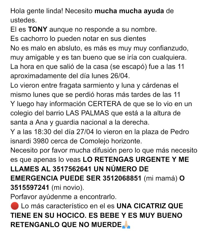Florodrigguez's tweet photo. SI SOS DE CORDOBA CAPITAL DIFUNDI CON UN RETWEET Y SI PODES SACAR SCREEN Y PUBLICARLO EN TODAS TUS REDES TAMBIEN. AYUDAME A QUE VUELVA CONMIGO PORFAVOR. DEJO MI NUMERO 3517562641 https://t.co/3NfopsjNxU
