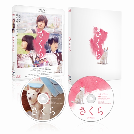 astage_ent's tweet photo. 【RELEASE-INFO】北村匠海・小松菜奈・吉沢亮、など豪華キャストの秘蔵映像🎥を解禁！  

映画『#さくら』5月1２日（水）発売 豪華版版Blulay より特典映像ダイジェスト一部公開！！✨🎬🌸📀✨未公開シーンの舞台裏も！？

#北村匠海 #小松菜奈 #吉沢亮 
@SakuraMovie 

https://t.co/smbtOfWeaJ https://t.co/ztcMf9K4hE