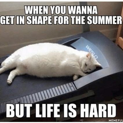 Misfigured Life tweet media