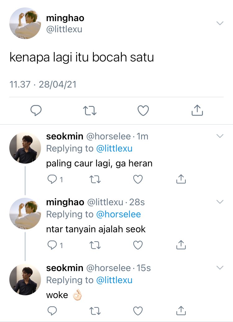 codinglanguage's tweet image. mingyu’s mind in a racket