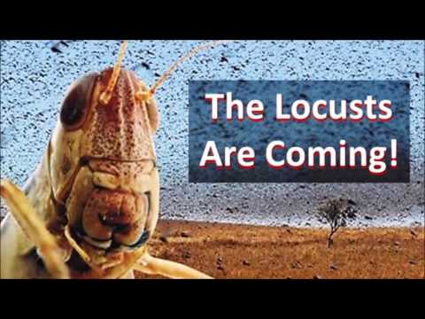 Campaign4TREES's tweet image. It's Almost that Time !!!

Experts say it could be WORST Ever.

BAD Time to be a 🌳🌳🌳.

Damm 🌳🌳🌳 can't catch a break between LOCUSTS and HUMANS.

#ClimateAction #GreenNewDeal #Days #Locusts #LocustsareComing #environment #EarthDayEveryDay #trees @Campaign4TREES