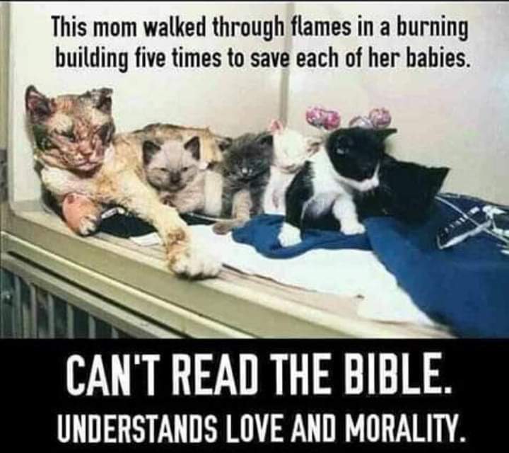 MisterDevil_666's tweet photo. @AtheismIsBad4u I showed this to God &amp; he said he couldn't care less.  What should I tell him? https://t.co/eGPaDaRTwz