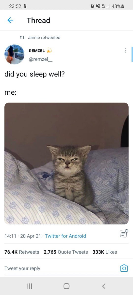 “Is the Im a morning person for me” that is what the lovely text from my room mate read after he said hi one morning and I almost poked one of his eyes out.