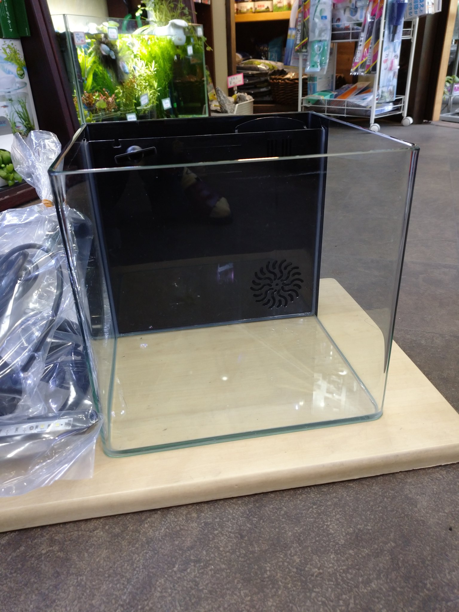 Aqua Mint 中古水槽 良品 テトラリビングキューブ12 W28 D28 H28 オールインワンガラス水槽 3 000 税込 お電話で取り置き 079 2 0725 ご来店お待ちしております アクアミント 中古水槽 T Co Aqua Mint 中古水槽 良品 テトラリビングキューブ12 W28 D28 H28 オールインワンガラス水槽 3 000 税込 お電話で取り置き 079 2 0725 ご来店お待ちしております アクアミント 中古水槽 T Co
