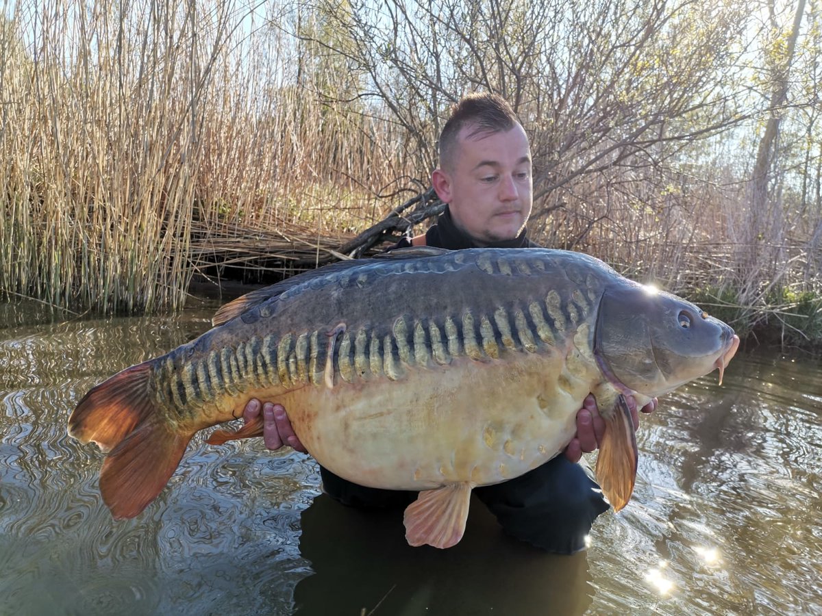 ecbaits's tweet image. Dikke bak voor jp