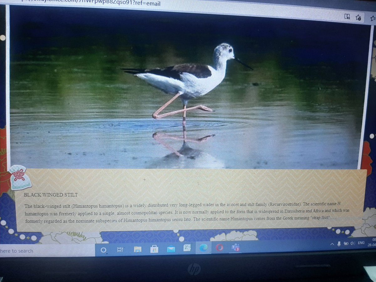 #studentsparticipation Students of Grade 6 presenting sways on Migratory Birds to enhance their General Knolwledge #activelearners #proudteacher <a href="/cbseindia29/">CBSE HQ</a> <a href="/STSWSRAJGOMAL/">S.T.S. World School (Official)</a> <a href="/MicrosoftEDU/">Microsoft Education</a> <a href="/sway/">Office Sway</a> <a href="/Prabhjo60556013/">Prabhjot Gill</a> @KhullarY