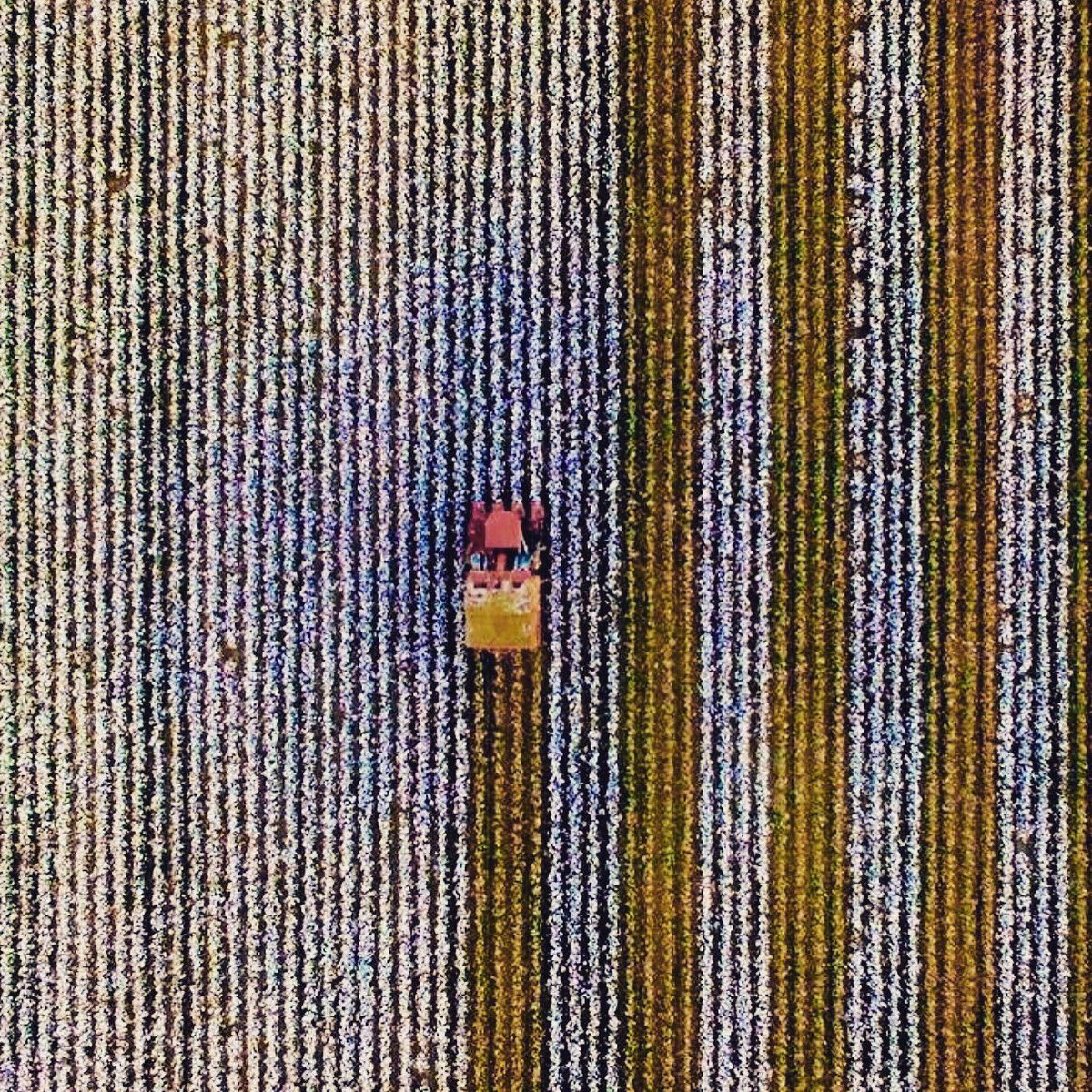 Sam Collier tweet media