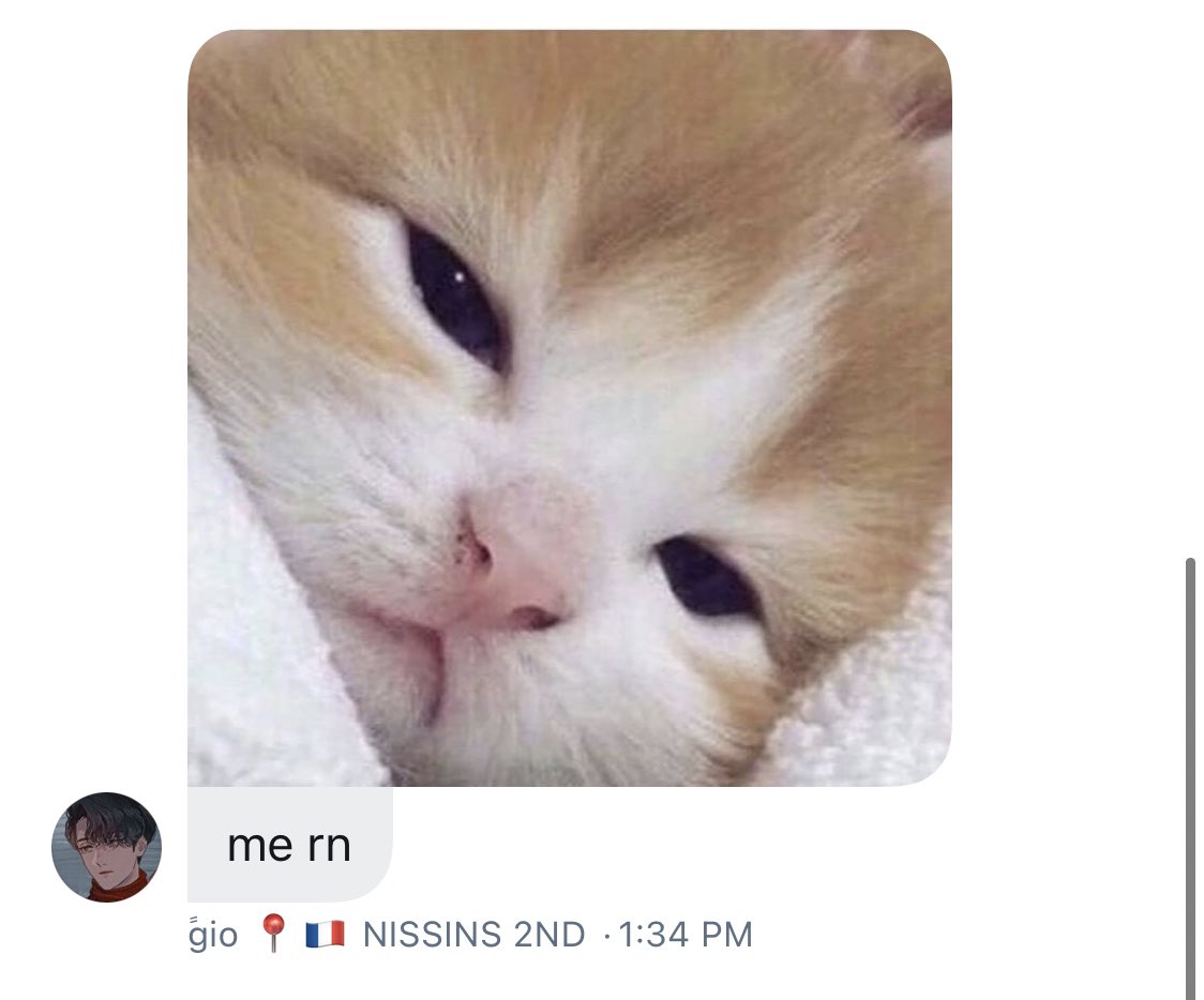doystruggles's tweet photo. no context https://t.co/484dNLDQvl