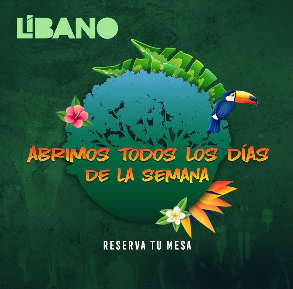 TerrazasLibanoF's tweet image. En #TerrazaLibano abrimos todos los días de la semana. Infórmate y reserva tu mesa.
Fran Bautista - 📲 625 266 858

#Libano #LibanoTerraza #Love #Party #Seville #Smile #Friends #Happy #Happiness #Bottles #Tardeo #Night #Noche #RRPP #Bonocopas.