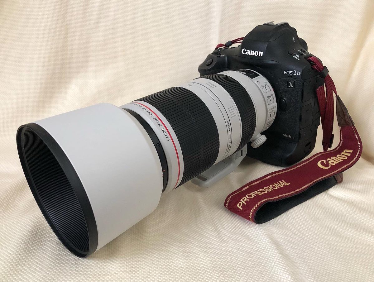 Canon純正レンズフード ET-83F(WⅢ) RF70-200mm F2.8 キヤノンRF70 キヤノン ET-83F( Canon レンズフード ET-83F(WⅢ)