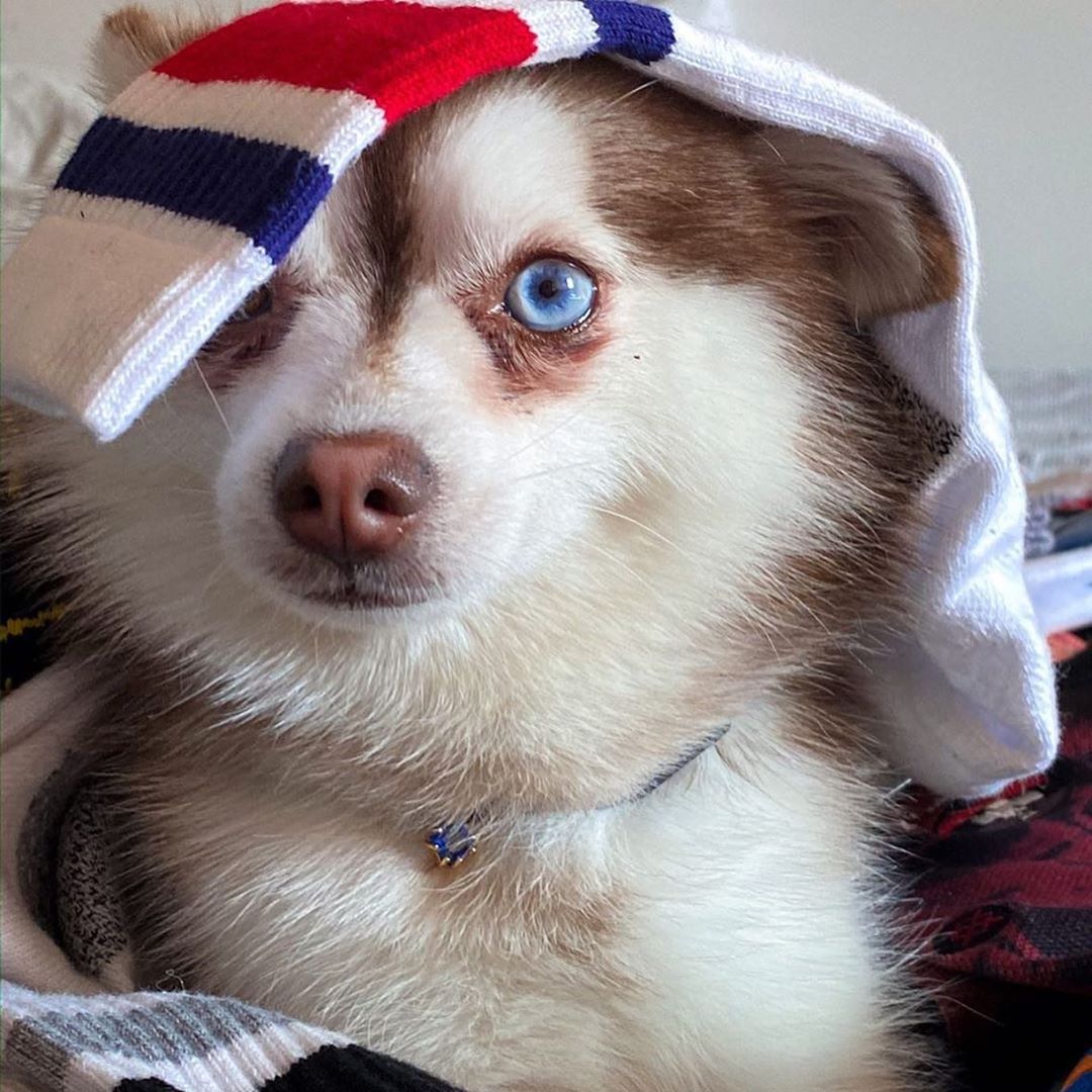 Stance_Chile's tweet image. F R I D A Y  M O O D🧦

#StanceSocks #StanceCrew