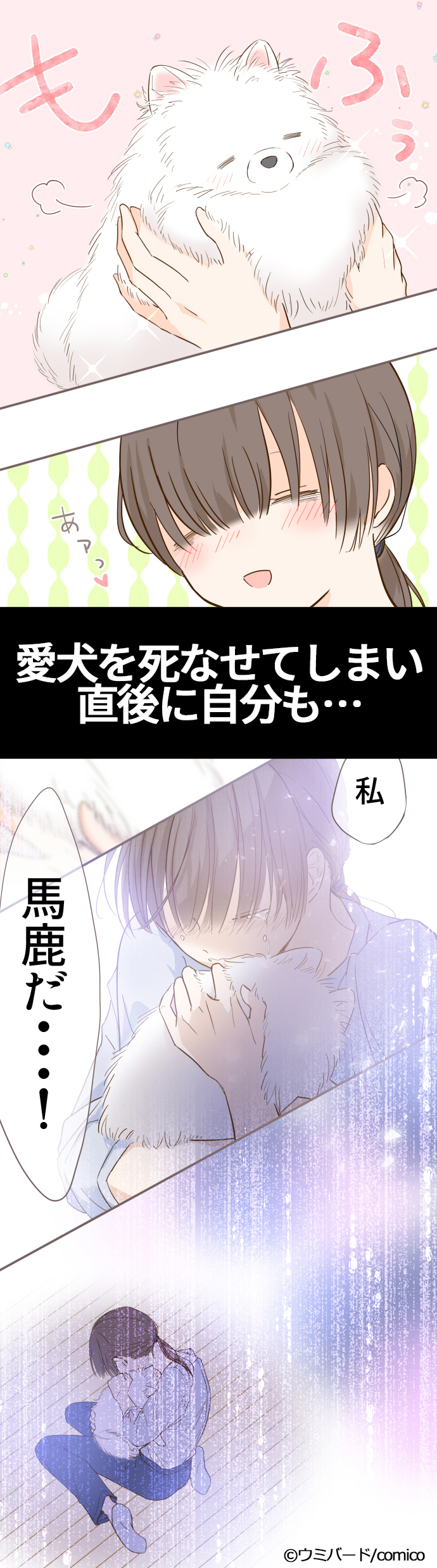 Comico 公式 オリジナル漫画が毎日無料 على تويتر 聖女は竜騎士様にまもられて 新連載記念 Twitterキャンペーン Comico Jp をフォロー 本ツイートをrt で完了 Amazonギフト券1 000円分を 抽選で10名様に 5 18〆 たべられうさ ウミバード さん
