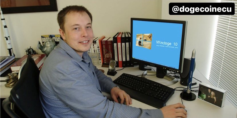 Dogecoinecu's tweet image. @elonmusk