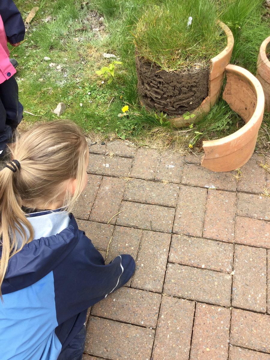 PipersForestSch's tweet image. Reception @PipersPrePrep enjoyed trying out our new ropes and investigating an ants nest this week at forest school #pipersoutdoors #pipersreception #pipersforestfun #spring
