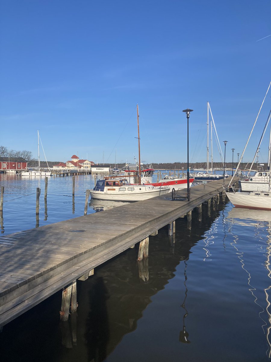 Ihana työpäivän aloitus 💛 Työkaverin kanssa 45min puhelinpalaveri kävelyn merkeissä ☀️ #Työhyvinvointi #Parhaattyökaverit