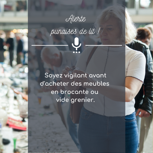 Brocantes et vides greniers : attention aux punaises de lit

Le podcast est dans notre bio 😉

#equipement
#energie
#consommation
#ecogestes #ecogeste #eco-gestes
#Podcast
#GoogleAssistant #NewsBriefing #AmazonAlexa #Flashbriefing #Skill