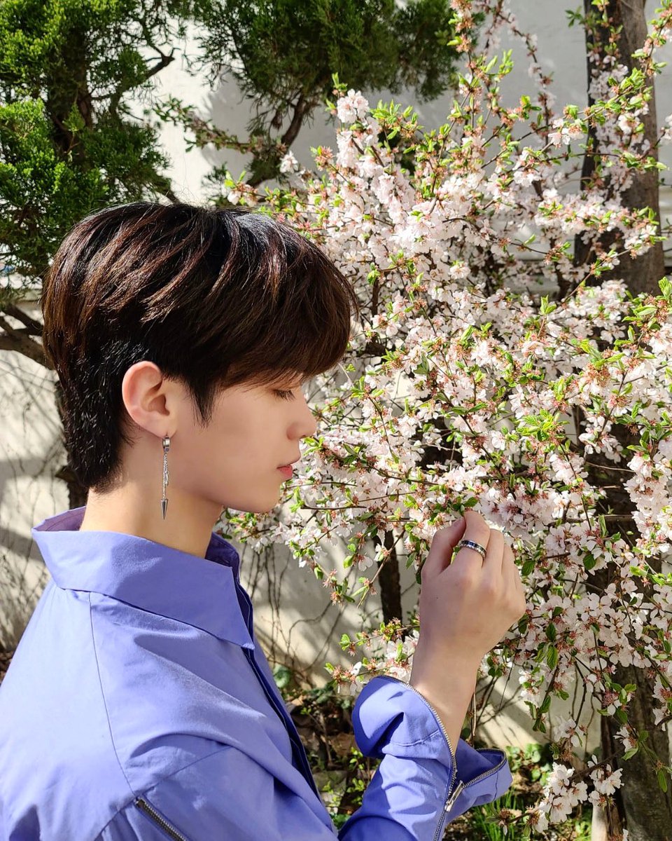 OmegaX_members's tweet photo. [#OX]

🌸🌸

#OMEGA_X #오메가엑스 #한겸 https://t.co/loAtmWz4aW