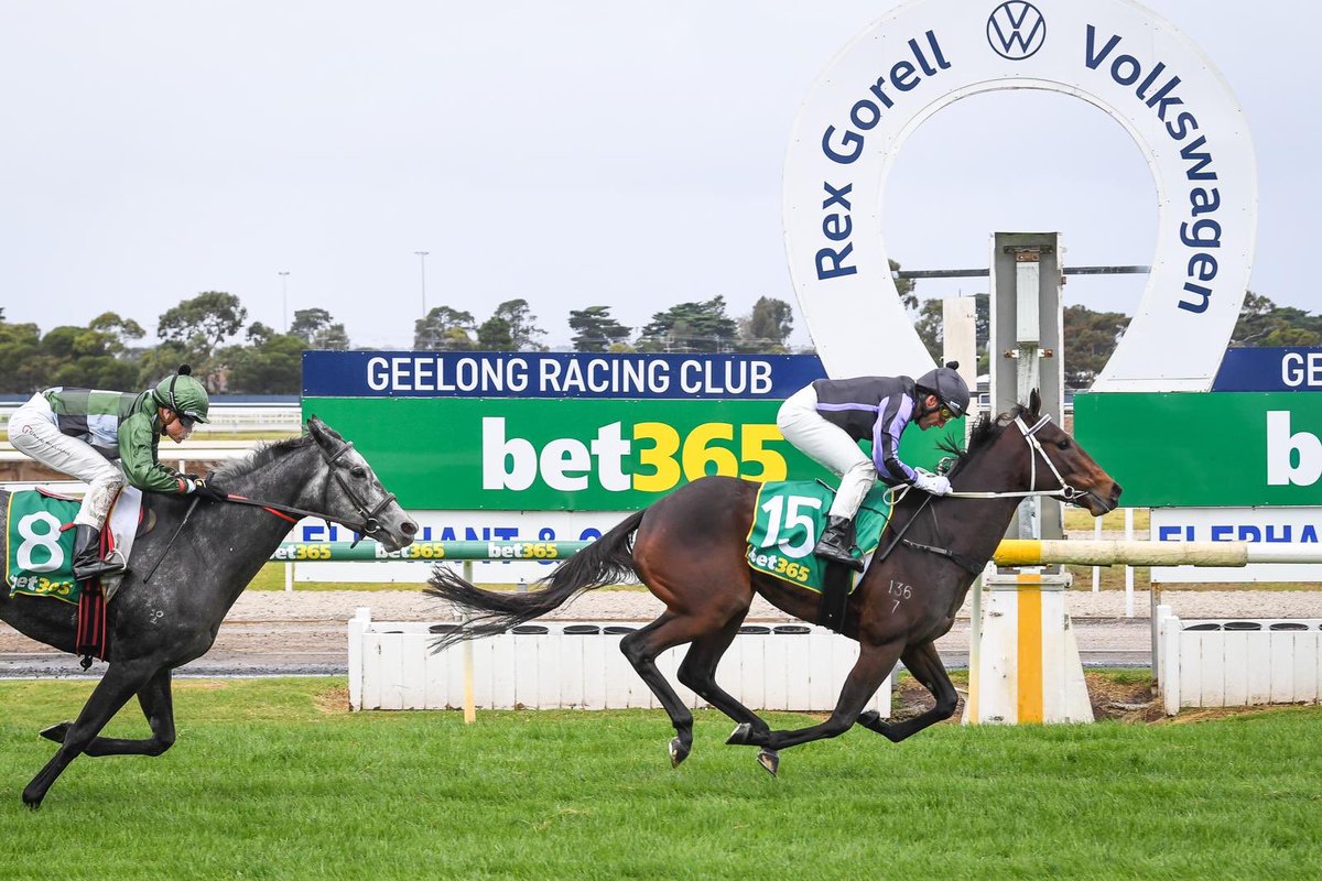 All aboard!!!
Media Award.
Australasian Oaks Saturday 1 May