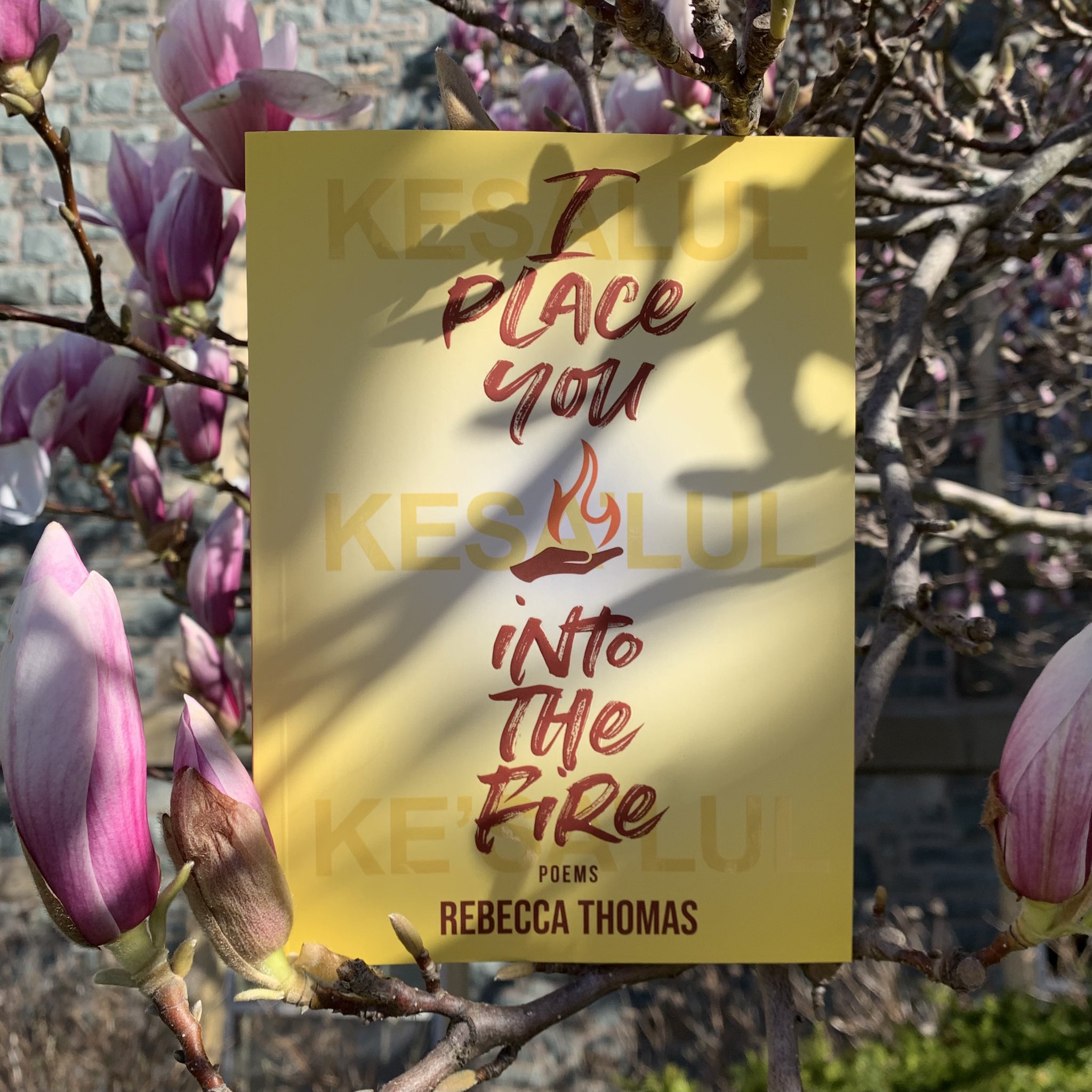 King’s Coop Bookstore on Twitter "a little beccaleat in the