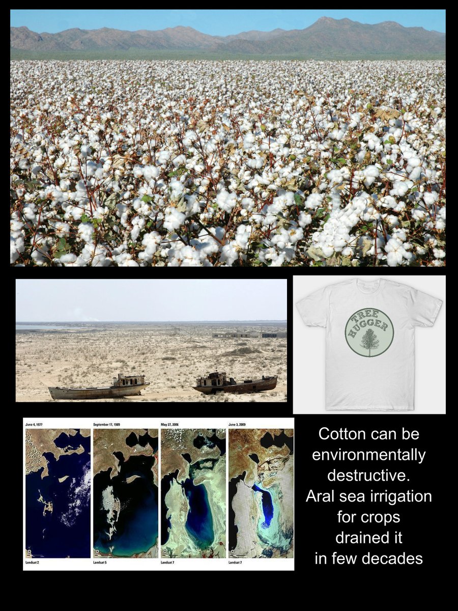 eradicating of an important local food source & 24 endemic species of fish extinct. Crops that are for food, generally do not clothe (at least without use plastic added). Neither synthetic/crop clothing as durable as animal sources, thus you need constant replacement production,