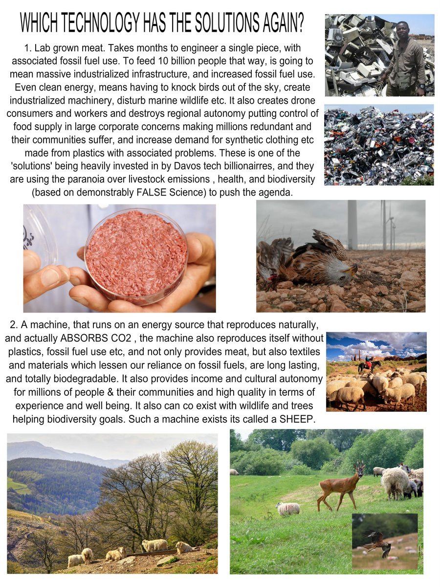 eradicating of an important local food source & 24 endemic species of fish extinct. Crops that are for food, generally do not clothe (at least without use plastic added). Neither synthetic/crop clothing as durable as animal sources, thus you need constant replacement production,