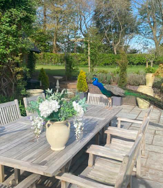 peonyjuliebates's tweet image. Even the peacocks roaming the beautiful Ruckley Estate can&apos;t resist our stunning real touch Hydrangea and Wisteria arrangement! The Tunisian terracotta urn combines rustic and elegance perfectly, available to purchase online at QVCUK for £95! #peonyfauxflower #unusualvase #urn