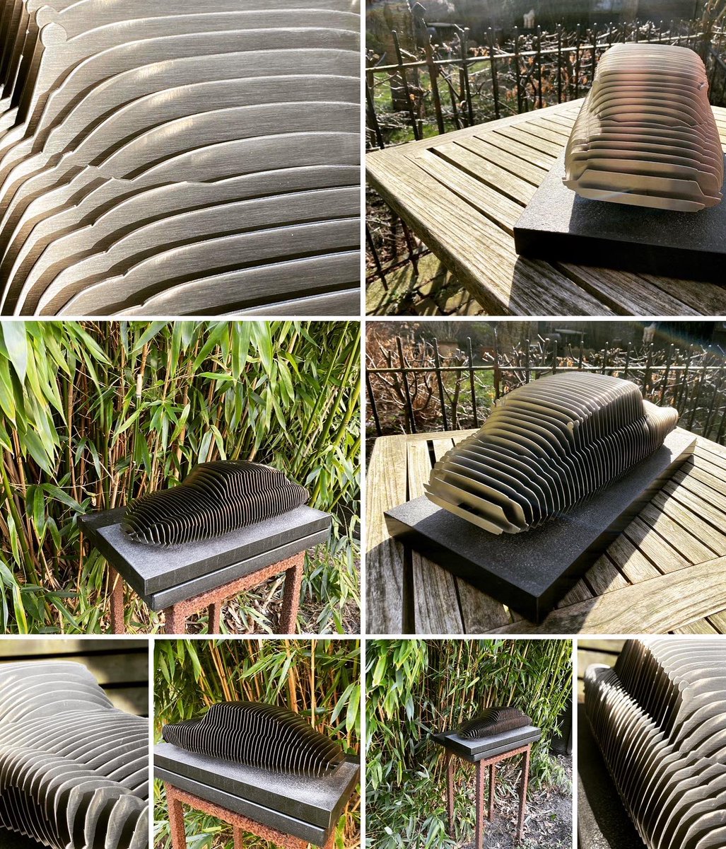 #Love The #slicedtodutch #citroen #DS in #stainlesssteel