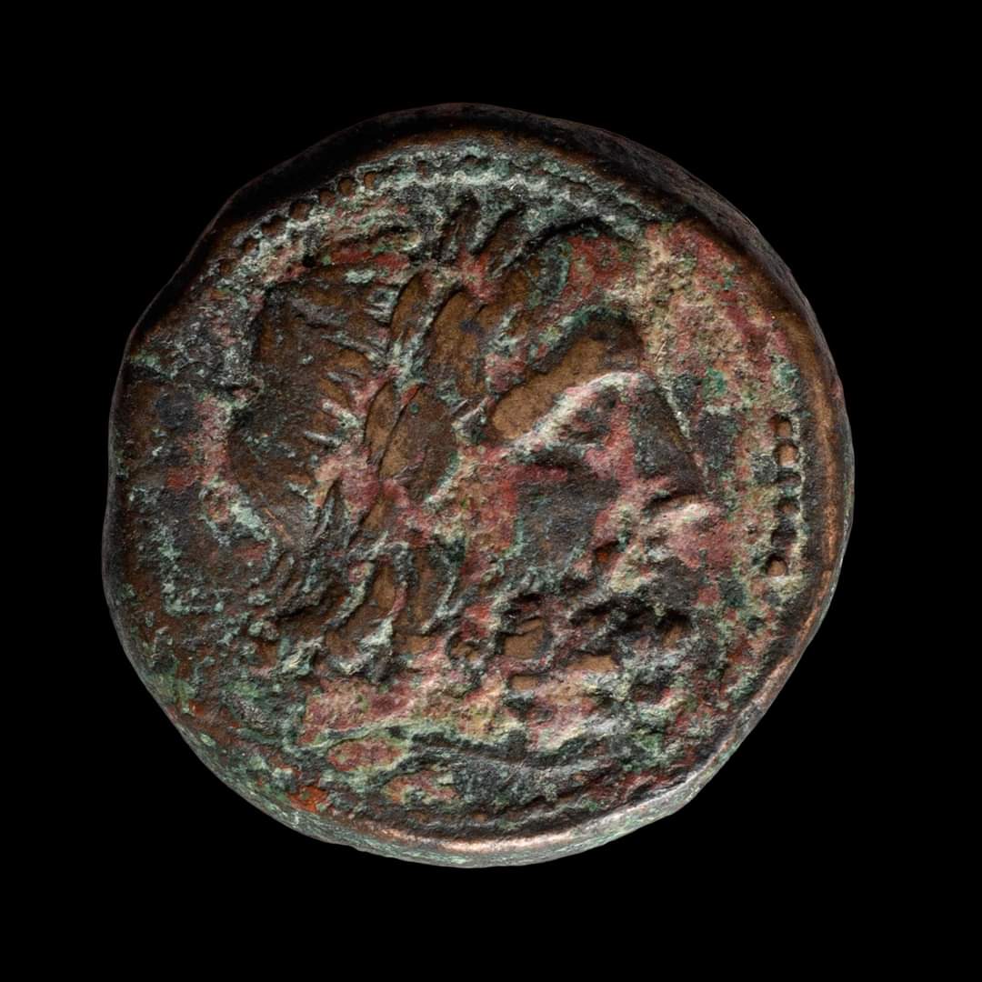 KAPU, quando #capua coniava #moneta

Leggi il post su FB is.gd/5V09eC

#musei #museiitaliani #numismatica #monetiere <a href="/musei_italiani/">MuseiItaliani</a> <a href="/beni_culturali/">beniculturalionline</a>