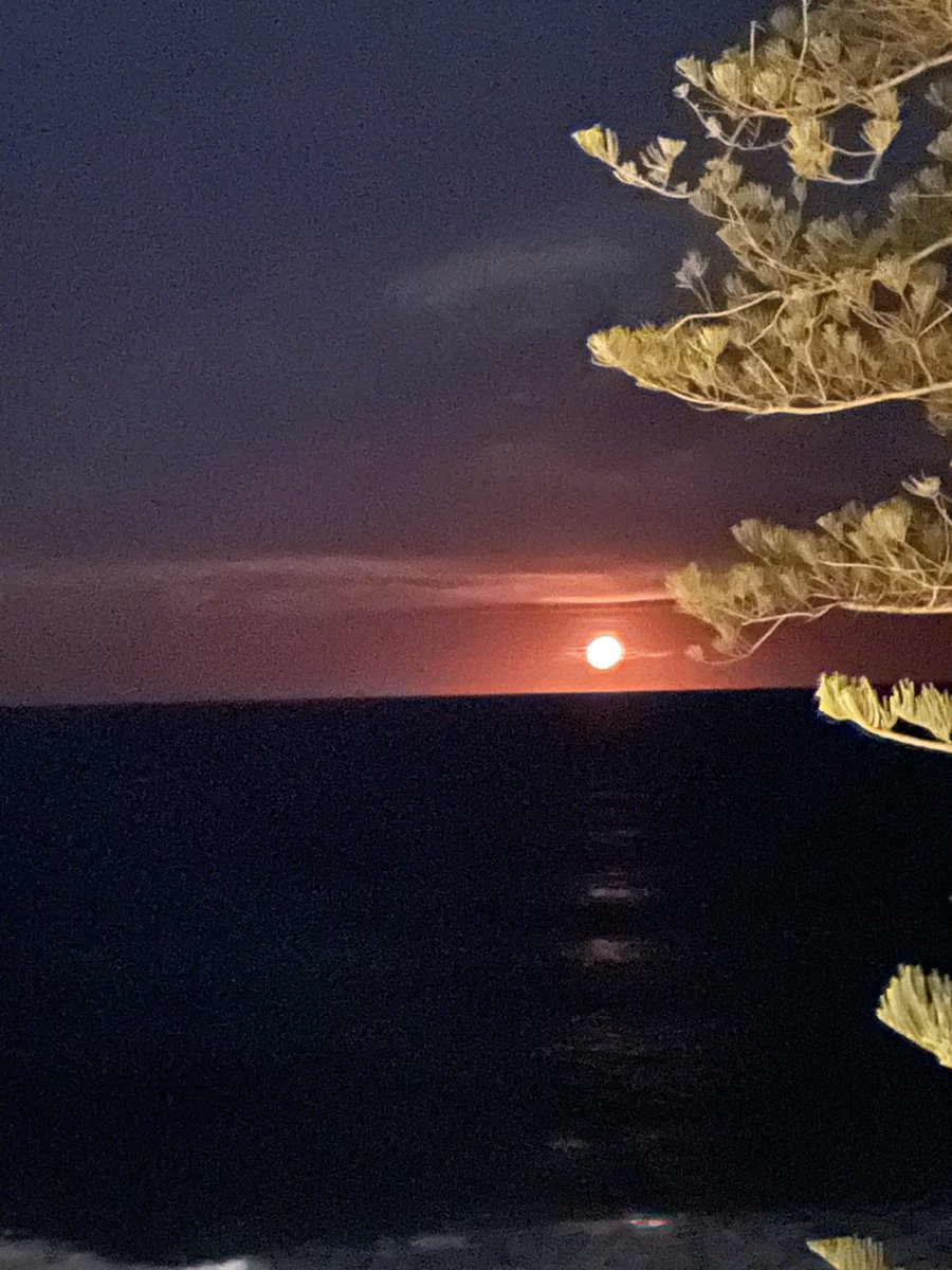 #Supermoon rising tonight over the Pacific Ocean off Sydney, appearing smokey-orange due to precautionary backburning well ahead of Australia’s summer bushfire season. #PINKMOON