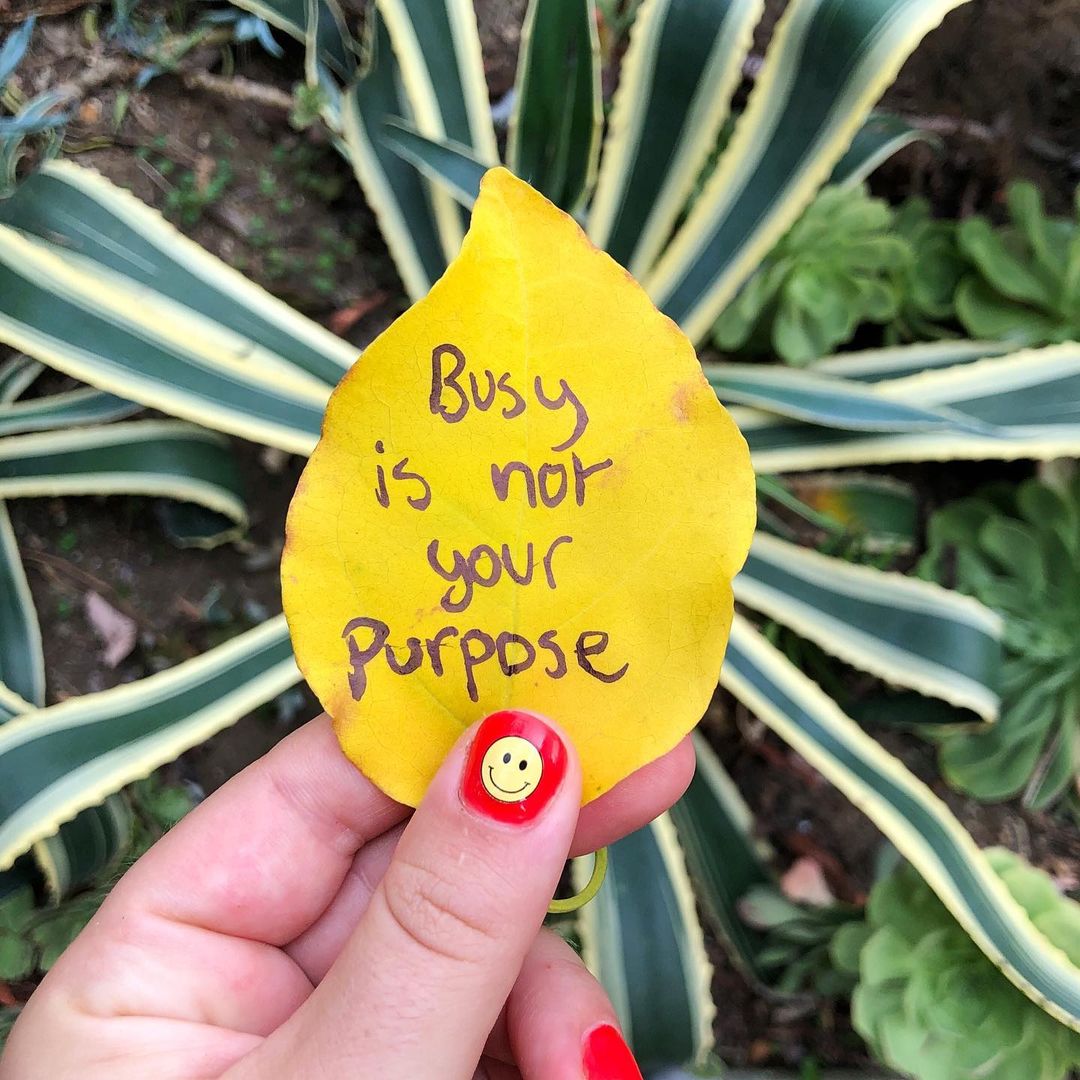 Like a Boss Programme tweet media