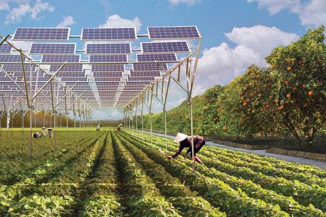 mynzagric254's tweet photo. Israel - The 'Silicon Valley ' of AGRI-TECH is 60% a desert 🏜️ country

Despite it's diverse Geographical structure and very harsh soil and climatic conditions ,
Israel are already living in a much advanced Agri- Technological era that many term as vision 2030

#Tech4YouthAction https://t.co/FKtHOMyD5j