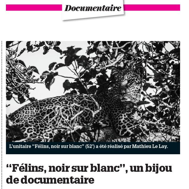 "Félins, noir sur blanc" avec <a href="/laurentbaheux/">Laurent Baheux Photo</a> : un bijou de documentaire diffusé le 11 mai sur <a href="/Ushuaia_TV/">Ushuaïa TV</a> 

C'est <a href="/Ecran_Total/">Ecran Total</a> qui le dit et c'est à lire ici ⬇️

ecran-total.fr/2021/04/28/fel…