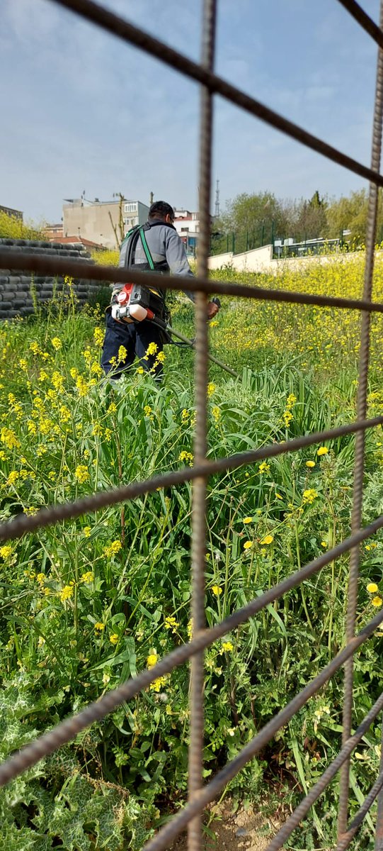 haci bektasi veli anadolu lisesi puan