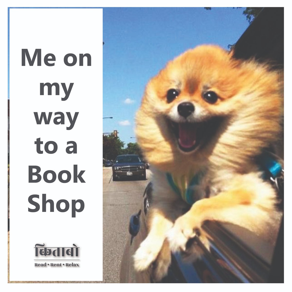 ReadRentRelax's tweet photo. True Indicating! ๐
.
A Ton of excitement feels a reader when they go to purchase or read books in the bookshop. ๐
#Kitabo
#readrentrelax
#read #books #newbook #memepost #meme #memes #funny #newpost #todaypost #collections #bookstore #memeshare #bookstoread #bookish #bookworm https://t.co/YsXZj0NByE