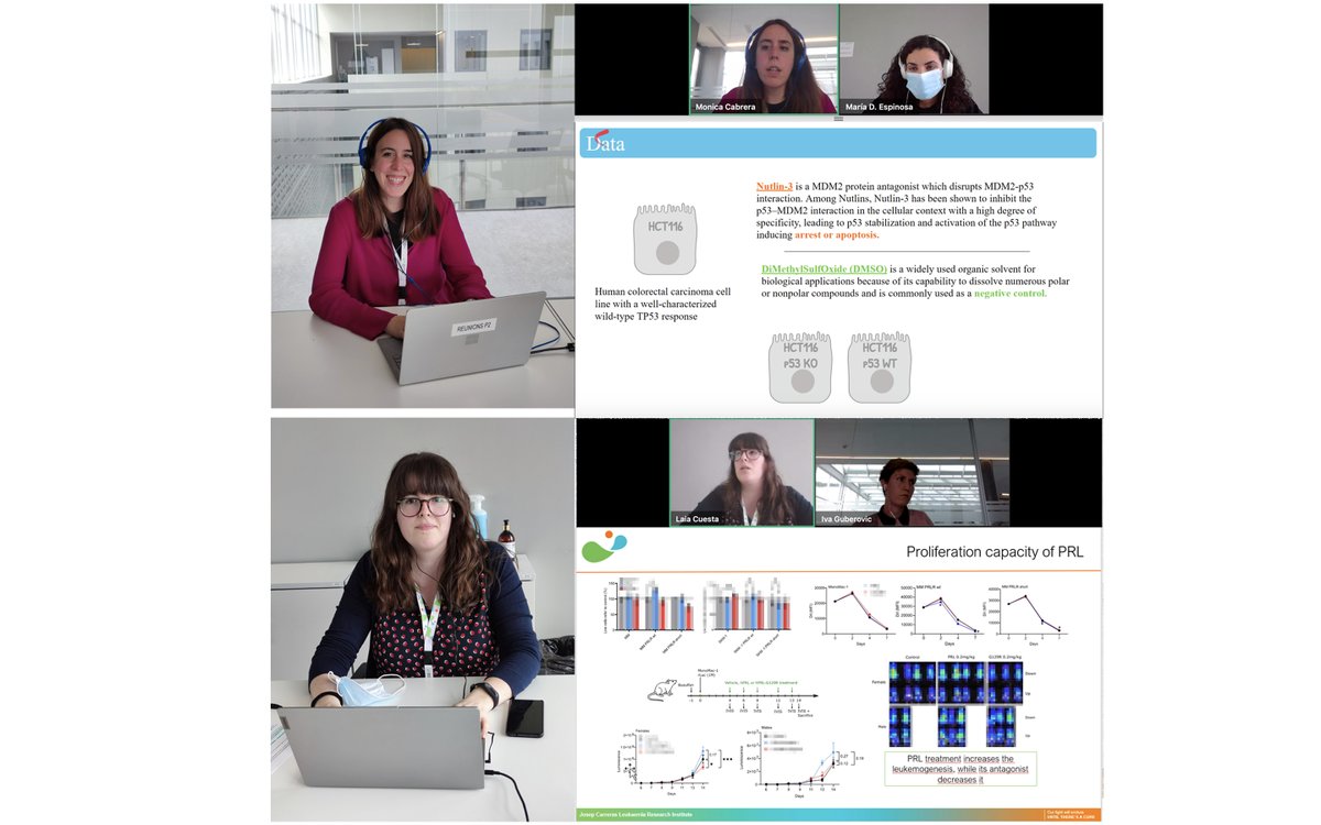 Josep Carreras Leukaemia Research Institute (IJC) (@carrerasijc) on Twitter photo 📣Yesterday, an outstanding Young Researcher's Seminar with <a href="/Monica_CabreraP/">Mónica Cabrera-Pasadas</a> (<a href="/JavierreLab/">Javierre_Lab</a>) and Laia Cuesta (<a href="/RisuenoLab/">Risueño Lab</a>).
The topics? 👇
👉stress induced p53 activation reorganizes genome topology
👉PRLR as a new therapeutic strategy against Acute Myeloid Leukemia
Amazing! 📣Yesterday, an outstanding Young Researcher's Seminar with <a href="/Monica_CabreraP/">Mónica Cabrera-Pasadas</a> (<a href="/JavierreLab/">Javierre_Lab</a>) and Laia Cuesta (<a href="/RisuenoLab/">Risueño Lab</a>).
The topics? 👇
👉stress induced p53 activation reorganizes genome topology
👉PRLR as a new therapeutic strategy against Acute Myeloid Leukemia
Amazing!