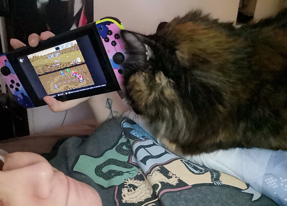 I get "help" for the flower cup...... (as you may see on the switch screen, it is not very effective)