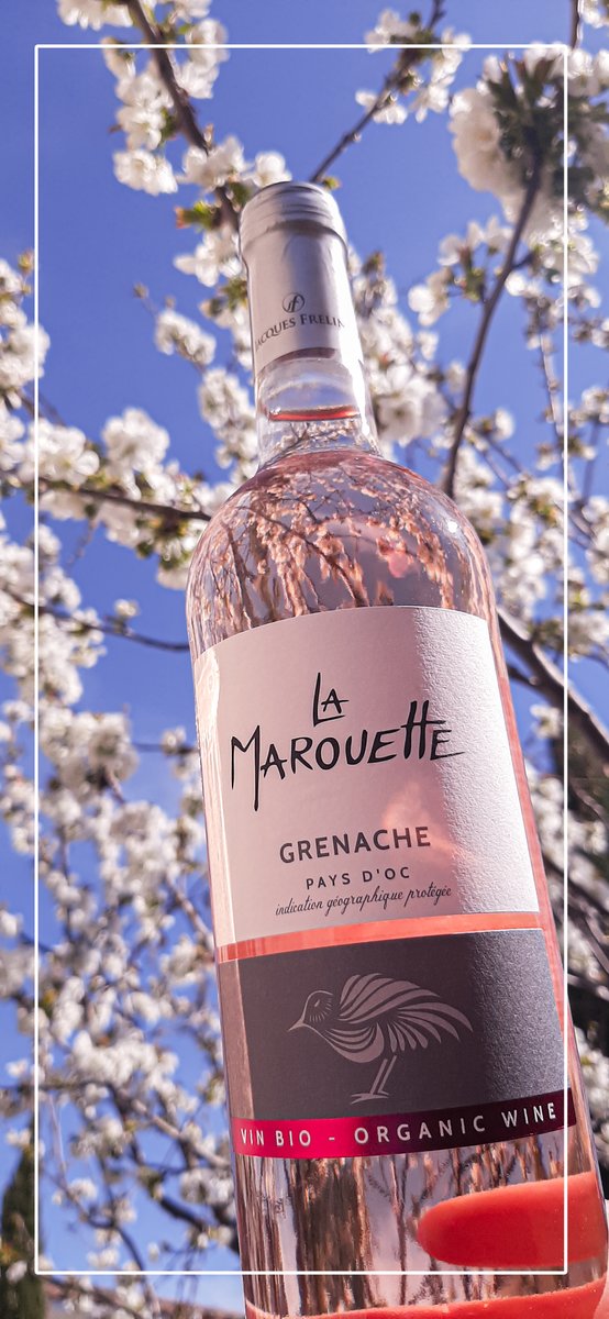 🌸 Retour des beaux jours 🌸

Pour s'évader et profiter du beau temps, nous vous proposons notre Vin Rosé La Marouette Grenache.
Avec son nez expressif de fruits rouges, il s'accordera parfaitement avec des brochettes d’agneau, et des salades estivales. 🍽️

#vin #wine #France