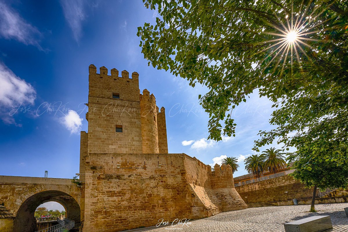 Torre Calahorra #cordobapatrimoniodelahumanidad #cordobaesp #turismoespaña #turismocordoba #andalucia_monumental #andalucia_turismo #cordobaspain #cordoba_esp #ok_spain #ok_andalucia #andalucia_photos #estaes_espania #estaes_andalucia #ok_cordoba #ig_andalucia_ #enfoque_spain